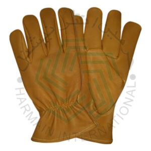 HL - Cut Resistant Gloves 53781