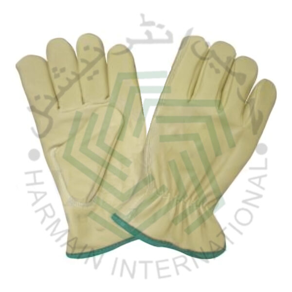 HL-Winter Gloves 47194